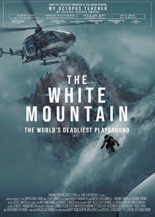 THE WHITE MOUNTAIN poster