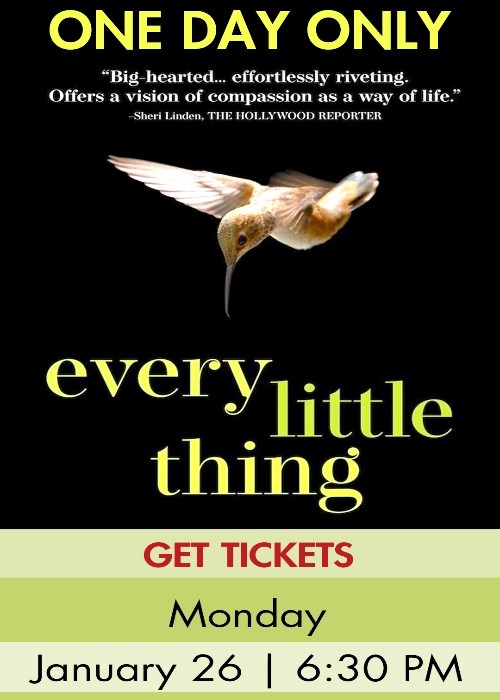 EVERY LITTLE THING poster