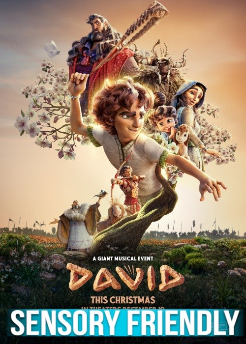 DAVID (SENSORY FRIENDLY) poster