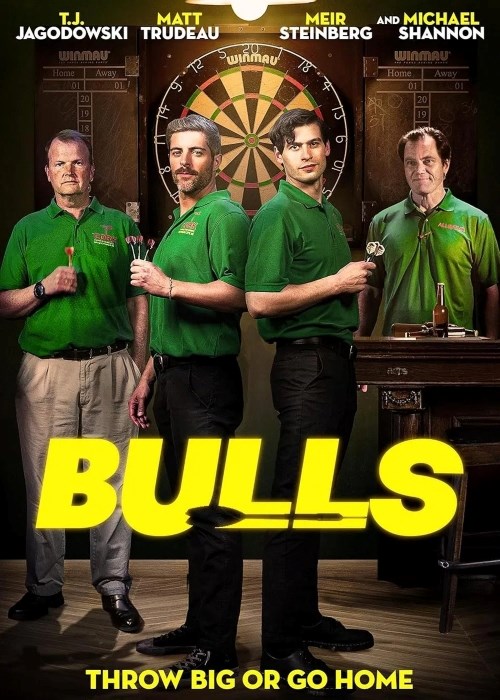 BULLS poster