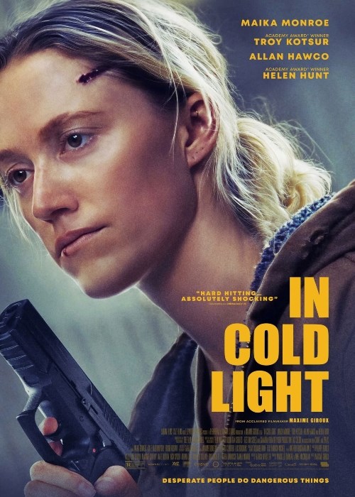 IN COLD LIGHT poster